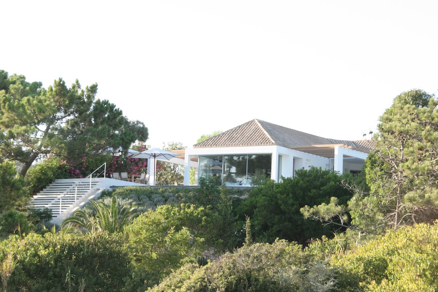 Casa do Dragão Azul